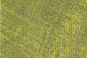 Ковровая плитка Milliken In Situ imv 103-62 Foliage фото  | FLOORDEALER